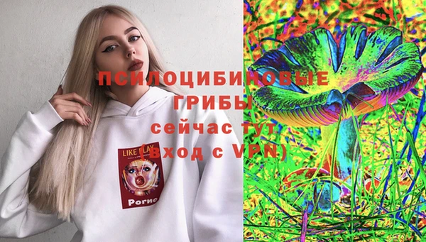 тгк Мегион
